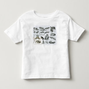 Batrachianen en andere amfibieën kinder shirts