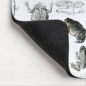 Batrachianen en andere amfibieën muismat (Hoek)