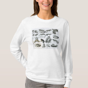 Batrachianen en andere amfibieën t-shirt