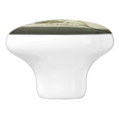 Bats by the Moon op Halloween Keramische Knop (Zijkant)