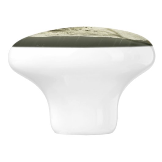 Bats by the Moon op Halloween Keramische Knop (Zijkant)