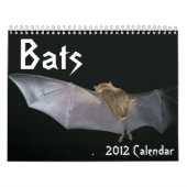 Bats Calendar Kalender (Hoes)