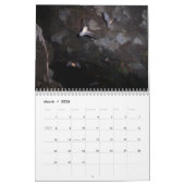 Bats Calendar Kalender (Mar 2026)