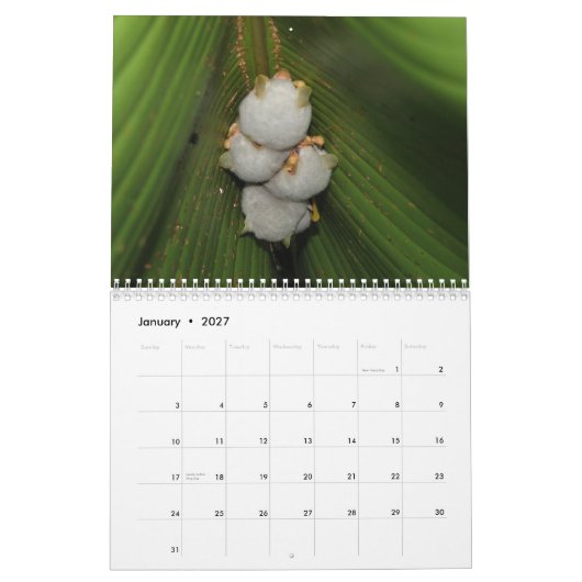 Bats Calendar Kalender (Jan 2027)