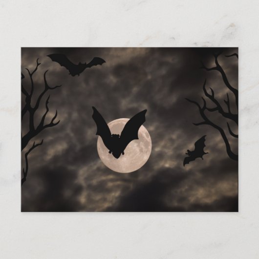 Bats Spooky Night Halloween Briefkaart (Voorkant)