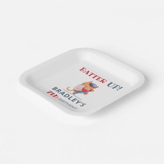 Batter omhoog! Baseball Sportjongens Birthday Papieren Bordje (Gebogen)