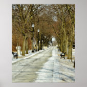 Battery Park, Burlington, Vermont Poster (Voorkant)