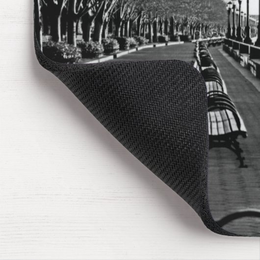 Battery Park City I Muismat (Hoek)