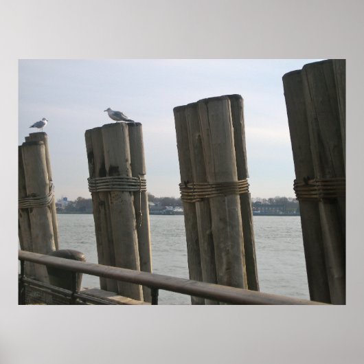 Battery Park - New York City Poster (Voorkant)