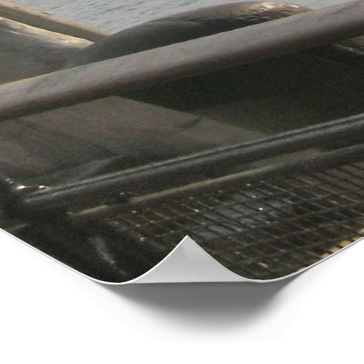 Battery Park - New York City Poster (Hoek)