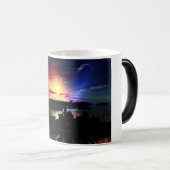 Battle Fleet - Fin - Extrafine - Morphing Mok (Voorkant rechts)