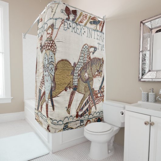 Battle of Hastings- Bayeux Tapestry King Harold Douchegordijn (In situ)