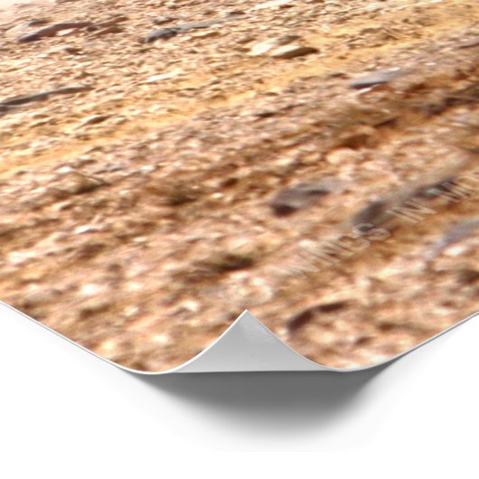 BATTLE TANK - M1-Abramen Poster (Hoek)