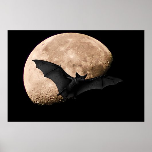 Batty Moon Poster (Voorkant)