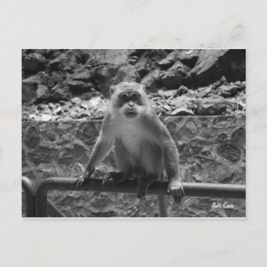 Batu Caves Briefkaart (Voorkant)