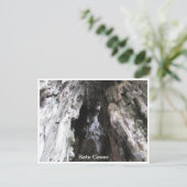 batu groveert maleisië briefkaart (Staand voorkant)