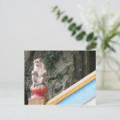 batu groves aap briefkaart (Staand voorkant)