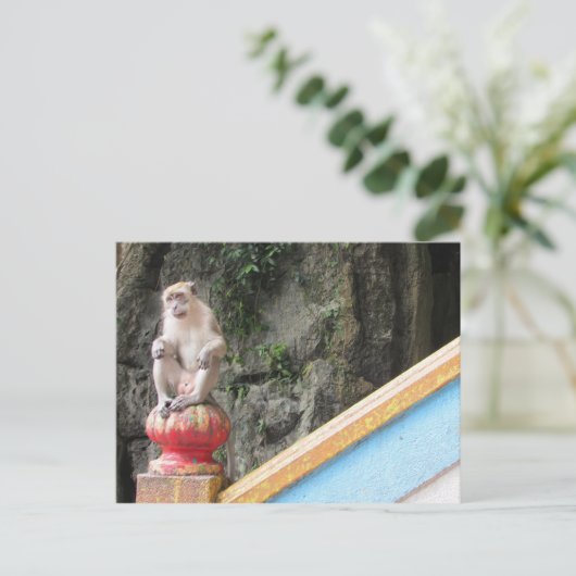 batu groves aap briefkaart (Staand voorkant)