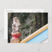 batu groves aap briefkaart (Voorkant / Achterkant)