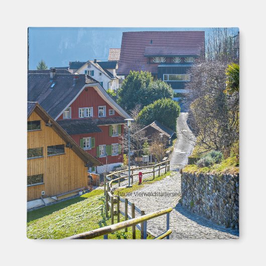 Bauer Vierwald, Zwitserland Magneet (Voorkant)