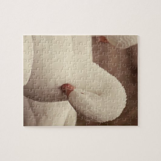 Bauernhof Puzzle Gans Legpuzzel (Horizontaal)