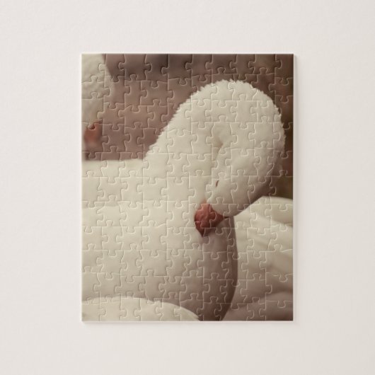 Bauernhof Puzzle Gans Legpuzzel (Verticaal)