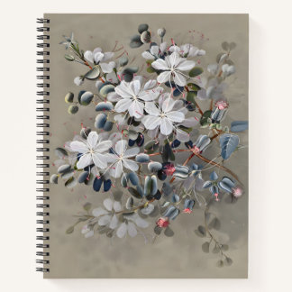 Bauhinia Flower Drawing, Gift Waterverf Notitieboek