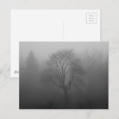 Baum im Nebel Briefkaart (Voorkant / Achterkant)
