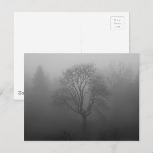 Baum im Nebel Briefkaart (Voorkant / Achterkant)