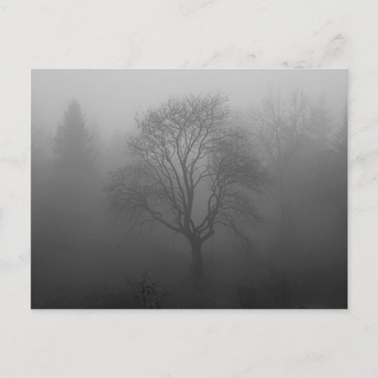Baum im Nebel Briefkaart (Voorkant)
