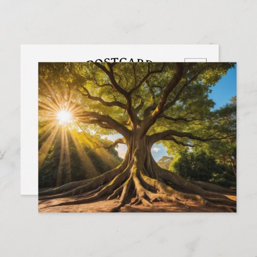 Baum in Sonnenstrahlen Briefkaart (Voorkant / Achterkant)