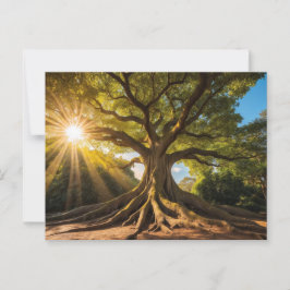 Baum in Sonnenstrahlen Briefkaart