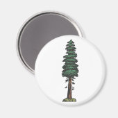 Baum tree sequoia magneet (Voorkant / Achterkant)