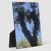 Baumherz Fotoplaat (Zijkant)