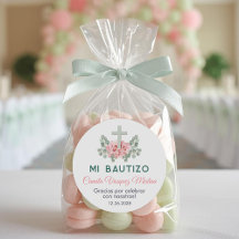 Bautizo Schattige Roze Rozen en laat Spaans Doopse