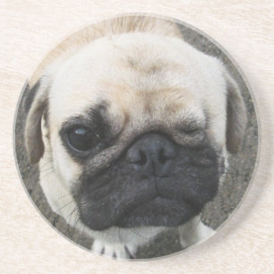 Bauwk ... Cute Pug Puppy Dog ... Thailand Zandsteen Onderzetter