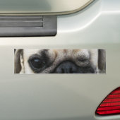 Bauwk ... Pug Dog ... か わ い 子 犬 Bumpersticker (Op auto)