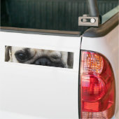 Bauwk ... Pug Dog ... か わ い 子 犬 Bumpersticker (Op Truck)