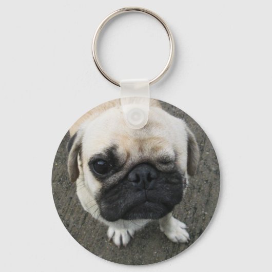 Bauwk ... Pug Dog ... か わ い 子 犬 Sleutelhanger (Voorkant)
