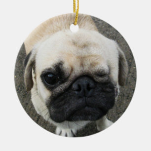 Bauwk ... Pug Dog ... Thailand Keramisch Ornament