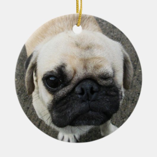 Bauwk ... Pug Dog ... Thailand Keramisch Ornament (Voorkant)