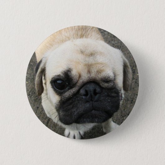 Bauwk ... Pug Dog ... Thailand Ronde Button 5,7 Cm (Voorkant)