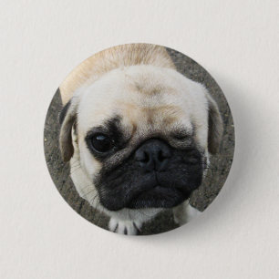 Bauwk ... Pug Hond ... Thailand Ronde Button 5,7 Cm