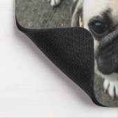 Bauwk ... THAI PUG DOG Muismat (Hoek)