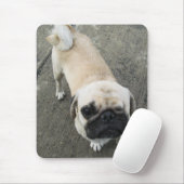 Bauwk ... THAI PUG DOG Muismat (Met muis)