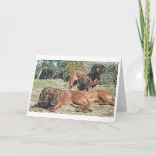 Bavarian Mountain Hound Dog Blank Wenskaart Kaart