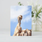 Baviaan aap boven op een berg bedankkaart (Staand voorkant)