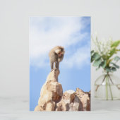 Baviaan aap boven op een berg briefpapier (Staand voorkant)