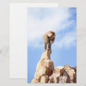 Baviaan aap boven op een berg briefpapier (Voorkant / Achterkant)