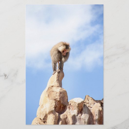 Baviaan aap boven op een berg briefpapier (Voorkant)